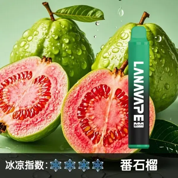 LANA ZOLT 拋棄式電子煙 8000口 可充電 MEHA 台灣電子煙主機 煙彈 一次性霧化器專賣店